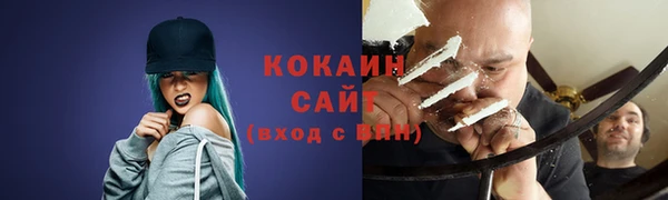 гидра Осинники