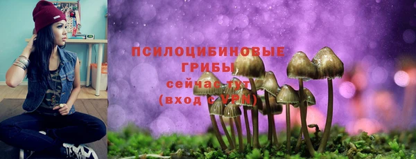 дживик Балахна