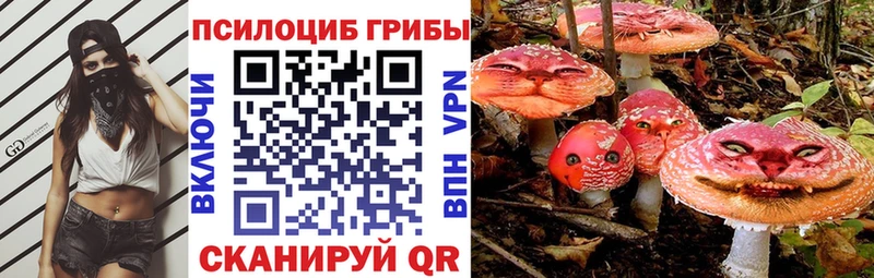 где найти наркотики  мориарти состав  Галлюциногенные грибы Psilocybe  Нововоронеж 